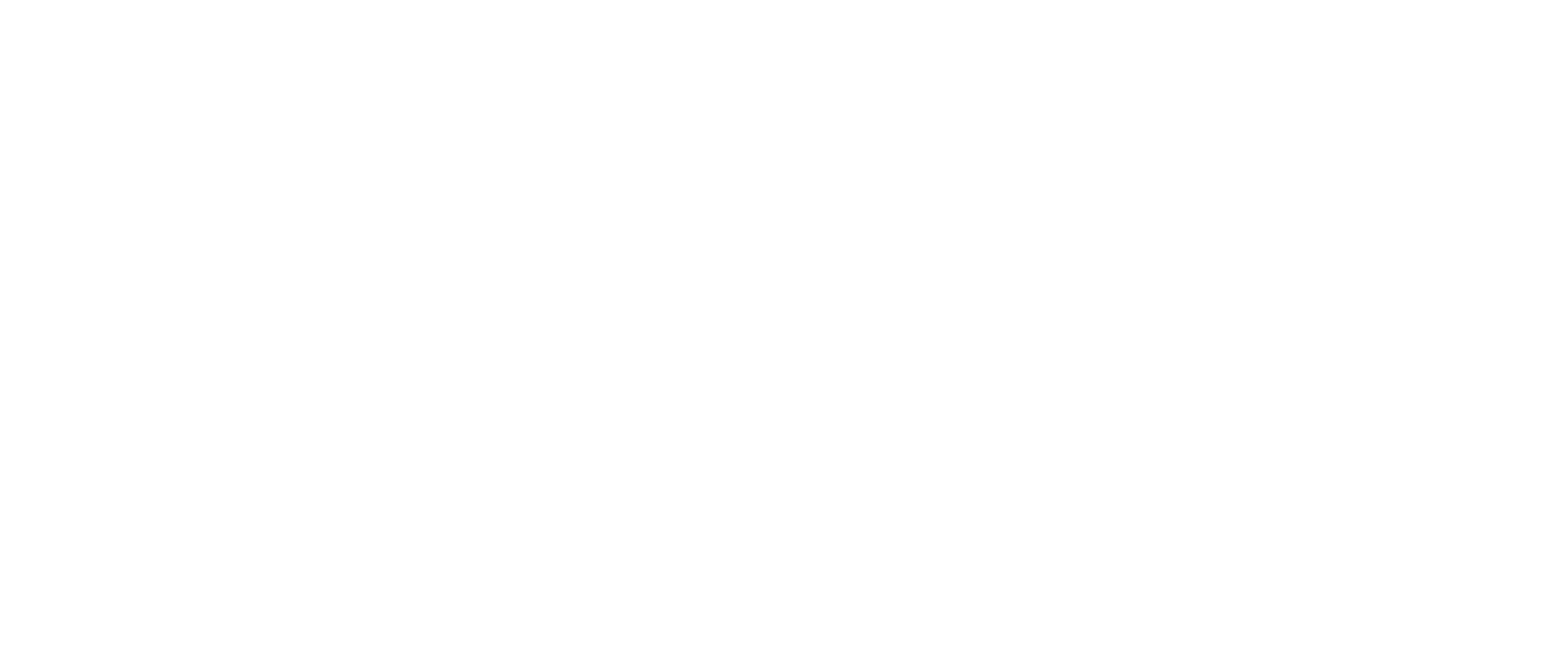 Globalsoft_blanco