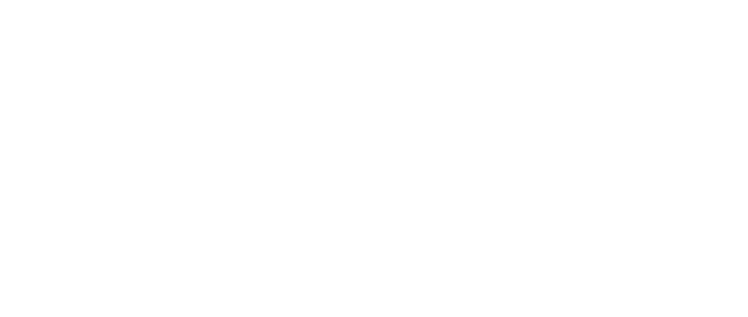 TransUnion_Blanco.png