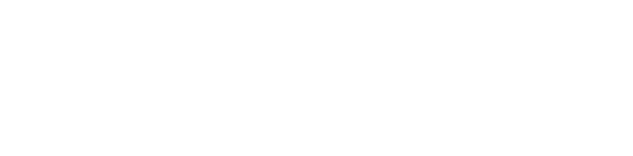 Wired People